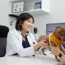 24시예담동물의료센터 이미지