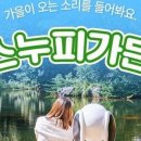 제주가든 이미지