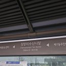 7281 | 청량리 맛집 한사발포차 청량리점 레트로 감성에 안주까지 완벽했던 방문 후기