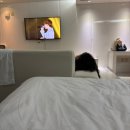 신신상회 이미지