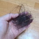 청담약국 | 청담스타일 염색샴푸 사용법 내돈내산 후기