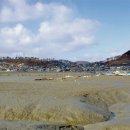 숲쟁이로 이미지