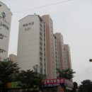 서구-02-103 Daum카페