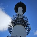 남산&N서울타워 이미지