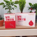 해조하우스 이미지