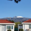 팜파스펜션 이미지