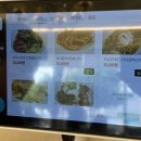 까트르쎄종 이미지