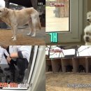 주운농장 이미지