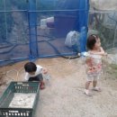 도희네 농장 이미지