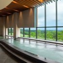 델피노 사우나 이미지