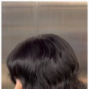 노연스테이 이미지