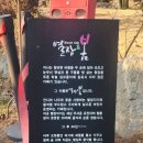 청양 별장&봄 이미지