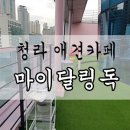 마이달링독 이미지