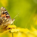 개화스크린골프 이미지