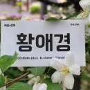 피자스쿨역사점 이미지