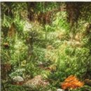 가람병원 이미지