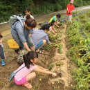 외갓집체험마을 이미지