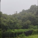 땅냄새공인중개사사무소 이미지