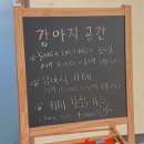 강아지공간 이미지