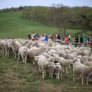 흔들목장 이미지