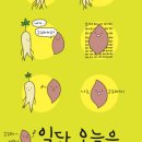 예담리빙