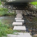 (주) 뼈연구소 이미지