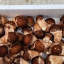 양촌농장 이미지