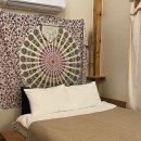 똘내미집 | 제주도 ♩ 반려견 동반 숙소 '제주 똘내미집' 2박 3일!