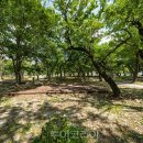 국민여가캠핑장 이미지