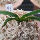 청해광택 이미지