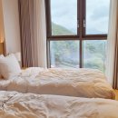 클린 | 리솜 레스트리 포레스트 차이, 제천 리솜포레스트 호텔 타워클린 후기