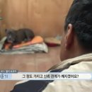 꼬리 흔드는 강아지 이미지