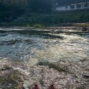 뭉이집민박 이미지