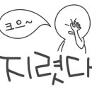 쿠시루