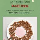 장천드림약국 이미지