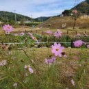 미로정원마을 이미지