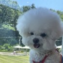 카페모리 이미지