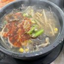 제주벅스코리아 이미지