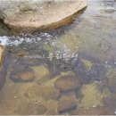 정명수펜션 이미지