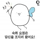 미광순대2호점 | 미광순대국 내돈내산 주안 석바위시장 순대국 후기