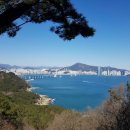 밀양고등학교 이미지