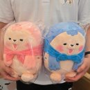 서산 가볼만한곳 포슬포슬 팔봉산 감자축제 6월20~ 21일 방문후기