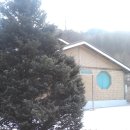 금당계곡 펜션 이미지