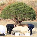 발해를꿈꾸며 이미지