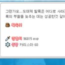 슬리피우드 - 21607 | 슬리피우드