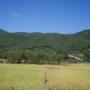 푸르름의 농원 이미지