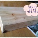 뚱강아지 이미지