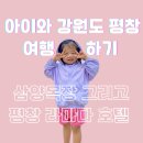 여행 첫째 날 - (Feat. 평창 라마다 호텔앤스위트, 대관령 삼양 목장, 강원도 평창 식당 및 여행 코스)