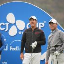 프로카클리닉 이미지