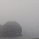 심안경원 이미지